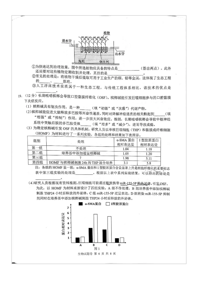 生物试题卷(1)_2026年1月_260124湖南省株洲市2025-2026学年高三上学期一模（湖南株洲一模）（全科）_湖南省株洲市2025-2026学年高三上学期一模生物试题（图片版，含答案）