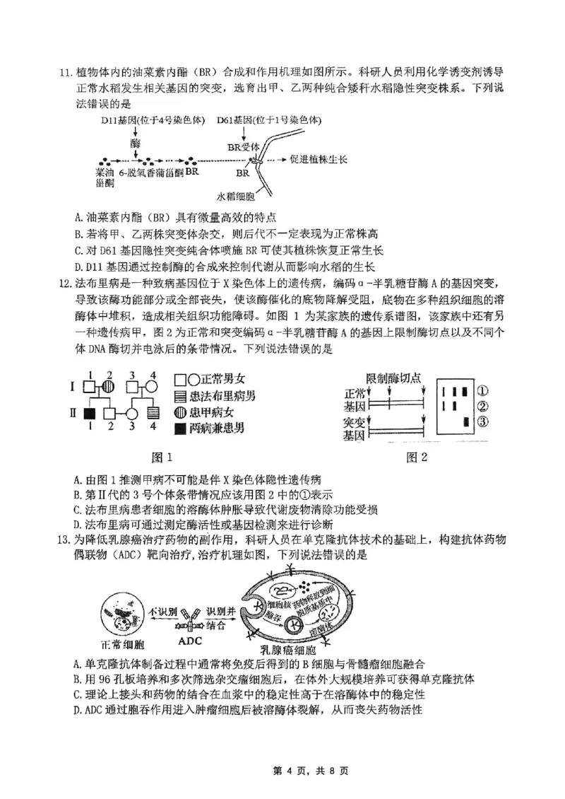 重庆市高2025届学业质量调研抽测（第三次）生物_2025年5月_250518重庆市高2025届学业质量调研抽测（第三次）（九龙坡三诊）（全科）