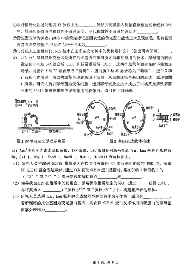 重庆市高2025届学业质量调研抽测（第三次）生物_2025年5月_250518重庆市高2025届学业质量调研抽测（第三次）（九龙坡三诊）（全科）