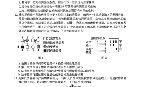重庆市高2025届学业质量调研抽测（第三次）生物_2025年5月_250518重庆市高2025届学业质量调研抽测（第三次）（九龙坡三诊）（全科）