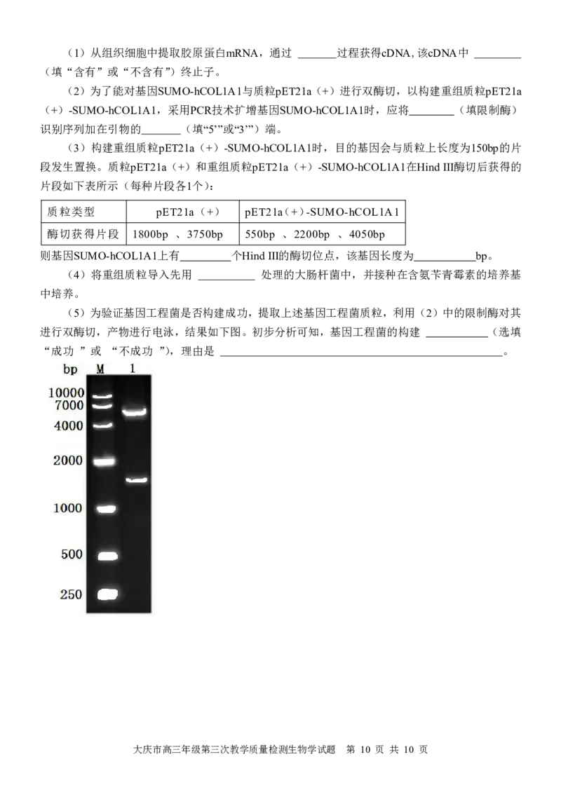 黑龙江省大庆市2025届高三下学期第三次模拟考试生物_2025年4月_250421黑龙江省大庆市2025届高三下学期第三次模拟考试（全科）