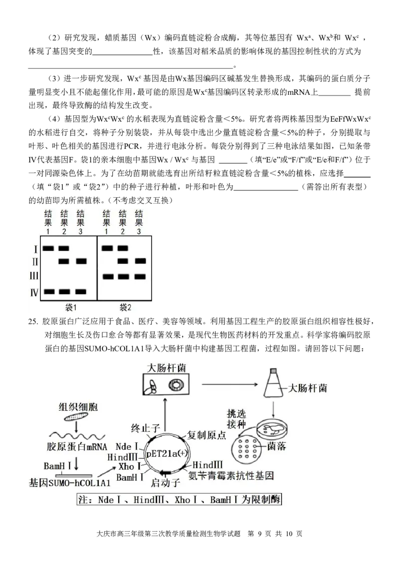 黑龙江省大庆市2025届高三下学期第三次模拟考试生物_2025年4月_250421黑龙江省大庆市2025届高三下学期第三次模拟考试（全科）