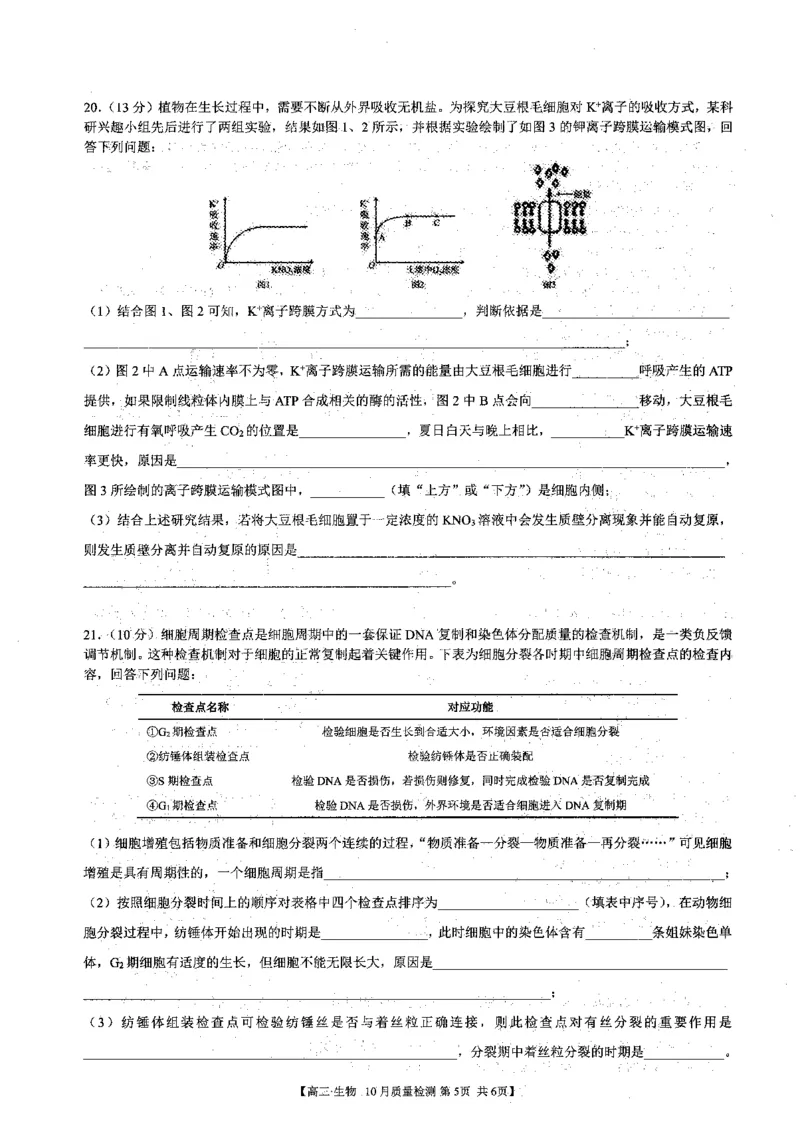 安徽省徽师联盟2023-2024学年高三上学期10月联考生物(1)_2023年10月_0210月合集_2024届安徽省徽师联盟高三上学期10月联考_安徽省徽师联盟2024届高三上学期10月联考生物