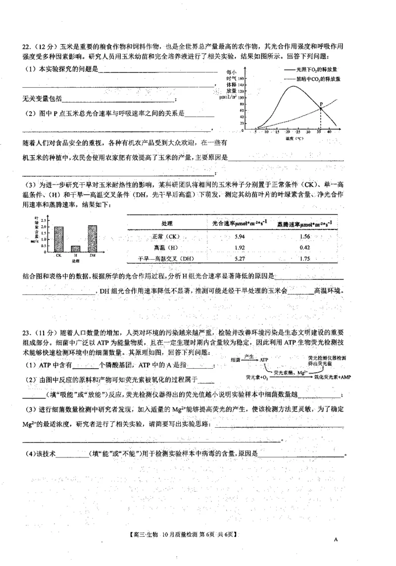 安徽省徽师联盟2023-2024学年高三上学期10月联考生物(1)_2023年10月_0210月合集_2024届安徽省徽师联盟高三上学期10月联考_安徽省徽师联盟2024届高三上学期10月联考生物