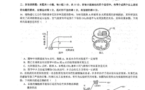 安徽省徽师联盟2023-2024学年高三上学期10月联考生物(1)_2023年10月_0210月合集_2024届安徽省徽师联盟高三上学期10月联考_安徽省徽师联盟2024届高三上学期10月联考生物
