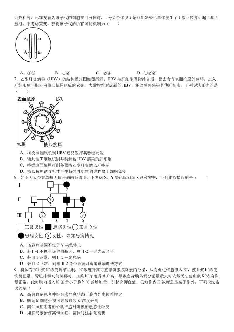 山东生物-试题-p_近10年高考真题汇编（必刷）_2024年高考真题_高考真题（截止6.29）_山东卷副科（6科全）