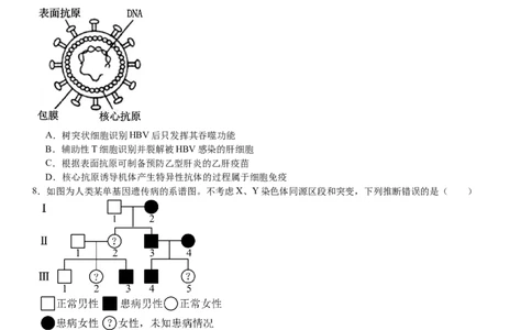 山东生物-试题-p_近10年高考真题汇编（必刷）_2024年高考真题_高考真题（截止6.29）_山东卷副科（6科全）