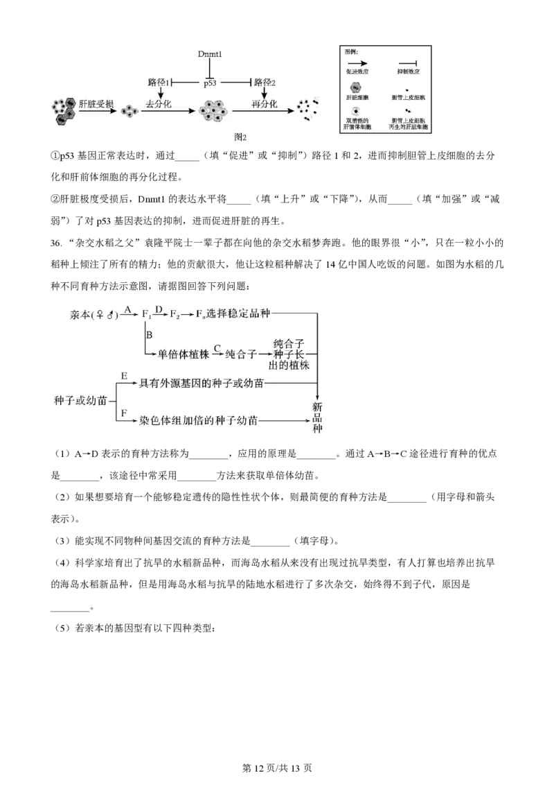 山西大学附属中学2023-2024学年高三上学期10月月考生物(1)_2023年10月_01每日更新_18号_2024届山西省山西大学附属中学高三上学期10月月考