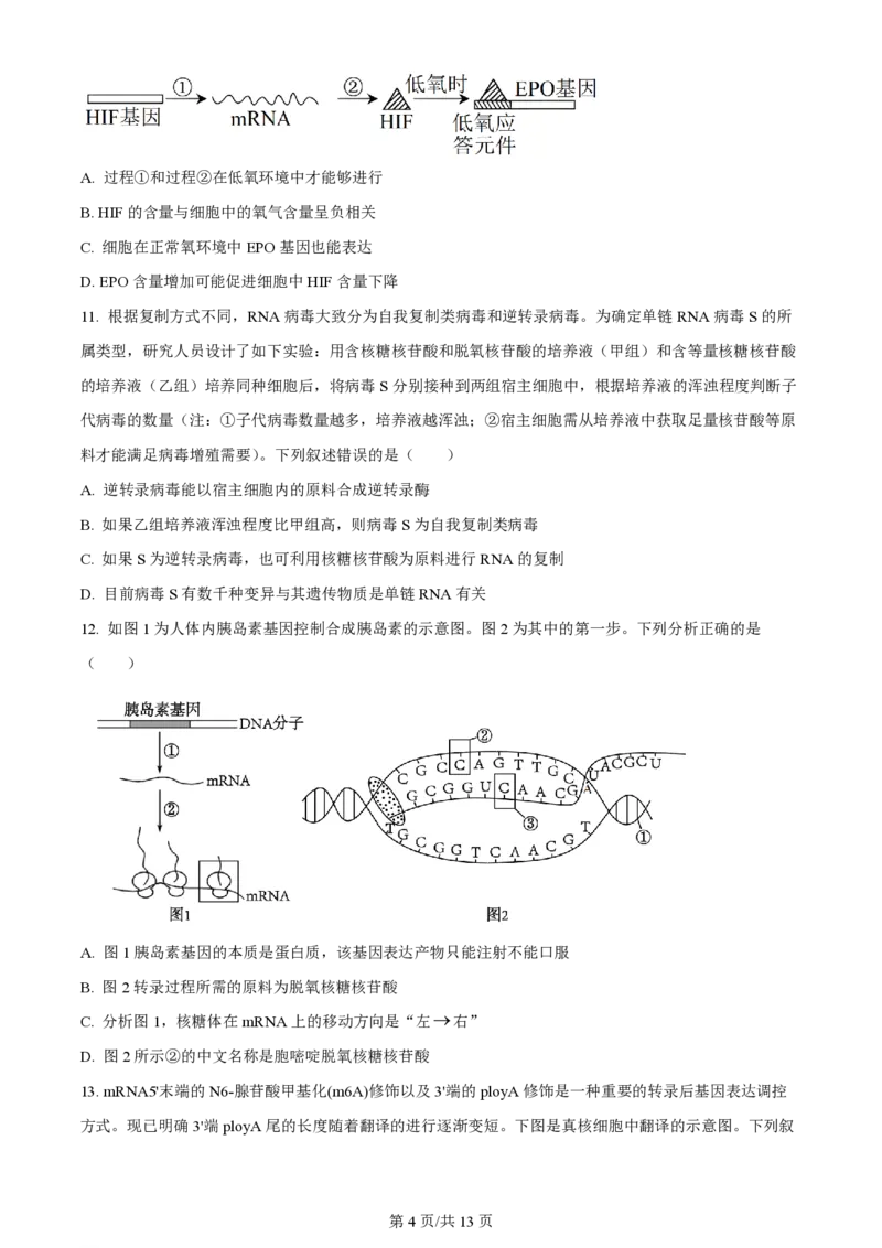 山西大学附属中学2023-2024学年高三上学期10月月考生物(1)_2023年10月_01每日更新_18号_2024届山西省山西大学附属中学高三上学期10月月考