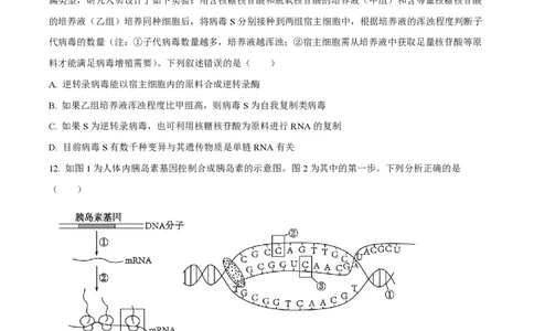 山西大学附属中学2023-2024学年高三上学期10月月考生物(1)_2023年10月_01每日更新_18号_2024届山西省山西大学附属中学高三上学期10月月考