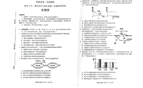 扫描全能王2023-09-1216.49_2023年9月_01每日更新_15号_2024届广西省邕衡金卷名校联盟南宁三中、柳州高中第一次适应性考试