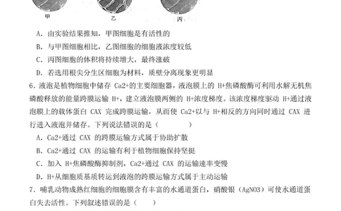 高三第一次月考生物试题_2025年10月_251007黑龙江省牡丹江市第二高级中学2025-2026学年高三上学期第一次阶段性测试