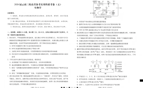 2026届云南三校高考备考实用性联考卷（五）生物(1)_2026年1月_2601192026届云南三校高考备考实用性联考卷（五）_2026届云南三校高考备考实用性联考卷（五）生物试题含答案