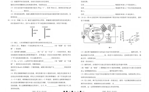 2026届云南三校高考备考实用性联考卷（五）生物(1)_2026年1月_2601192026届云南三校高考备考实用性联考卷（五）_2026届云南三校高考备考实用性联考卷（五）生物试题含答案