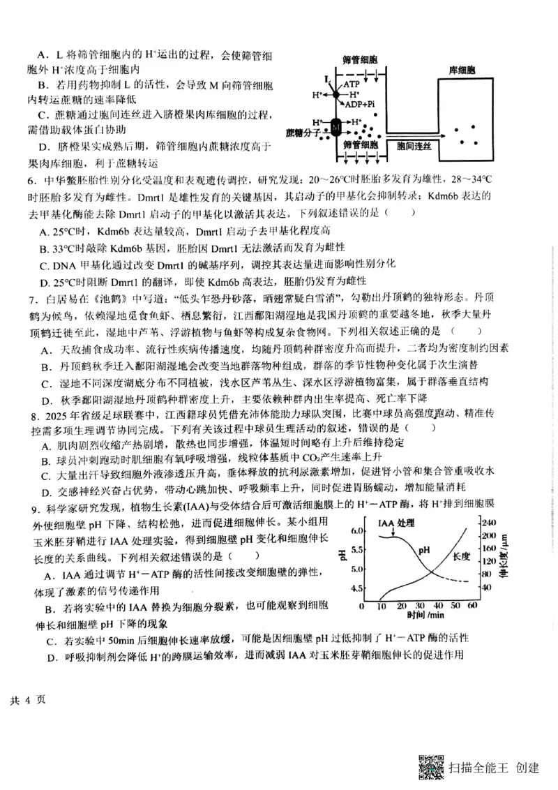 生物试卷(1)_2026年1月_260126江西省五市十校协作体2025-2026学年高三上学期1月期末阶段性作业（全科）_江西省五市十校协作体2025-2026学年高三上学期1月期末阶段性作业生物试题含答案