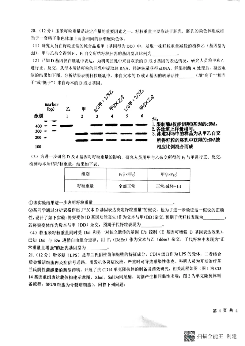 生物试卷(1)_2026年1月_260126江西省五市十校协作体2025-2026学年高三上学期1月期末阶段性作业（全科）_江西省五市十校协作体2025-2026学年高三上学期1月期末阶段性作业生物试题含答案
