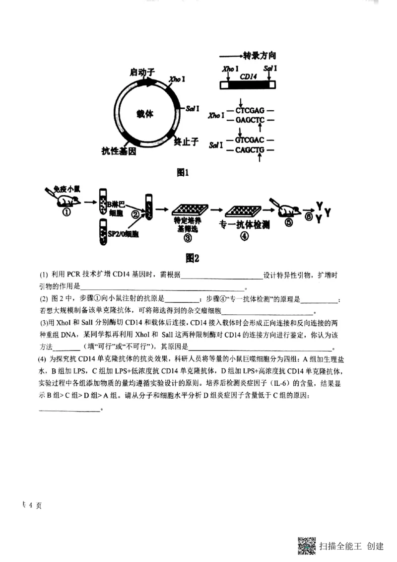生物试卷(1)_2026年1月_260126江西省五市十校协作体2025-2026学年高三上学期1月期末阶段性作业（全科）_江西省五市十校协作体2025-2026学年高三上学期1月期末阶段性作业生物试题含答案
