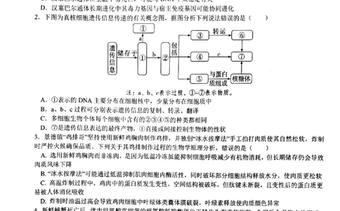 生物试卷(1)_2026年1月_260126江西省五市十校协作体2025-2026学年高三上学期1月期末阶段性作业（全科）_江西省五市十校协作体2025-2026学年高三上学期1月期末阶段性作业生物试题含答案