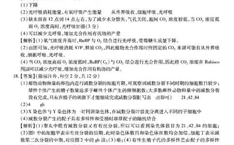 南开第二次联考-生物答案(1)_2023年10月_0210月合集_2024届重庆市南开中学高高三质量检测（二）_重庆市南开中学高2024届高三质量检测（二）生物