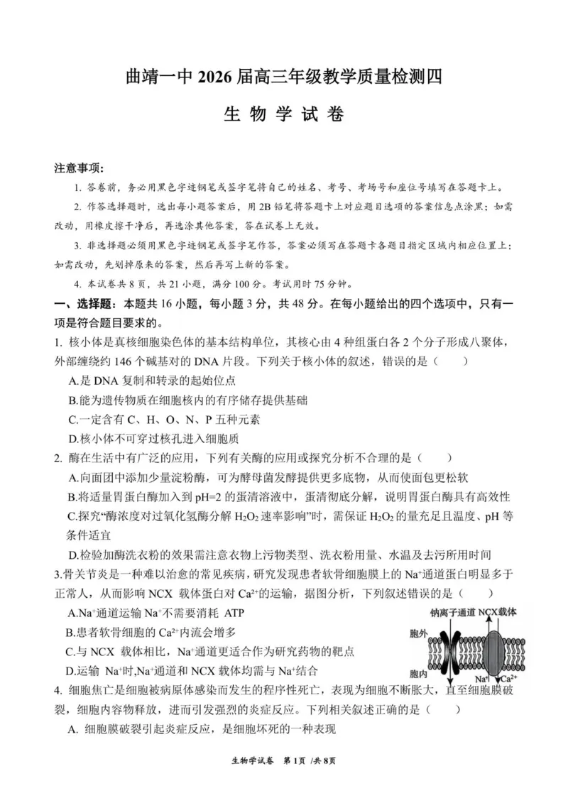 云南省曲靖市第一中学2025-2026学年高三上学期教学质量检测四生物学试题(1)_2026年1月_260104云南省曲靖市第一中学2025-2026学年高三上学期教学质量检查四