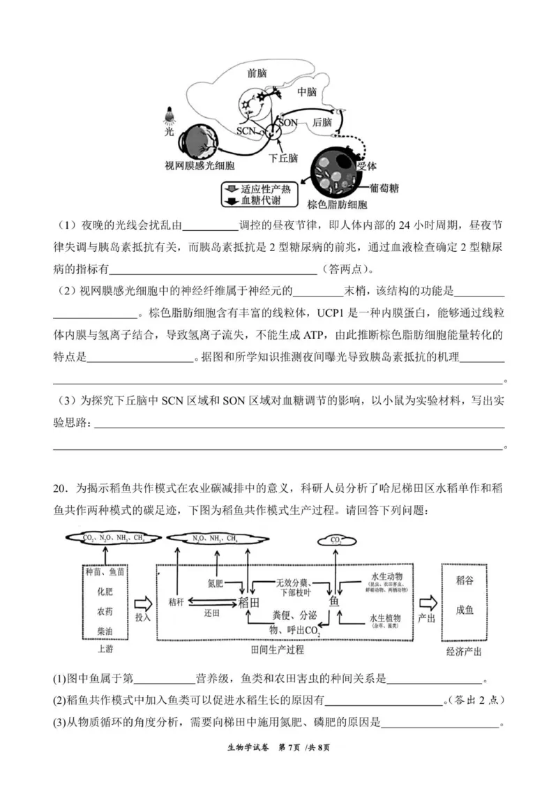 云南省曲靖市第一中学2025-2026学年高三上学期教学质量检测四生物学试题(1)_2026年1月_260104云南省曲靖市第一中学2025-2026学年高三上学期教学质量检查四