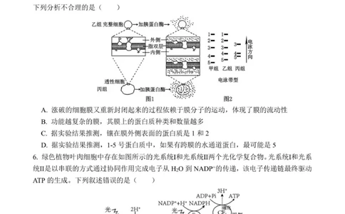 云南省曲靖市第一中学2025-2026学年高三上学期教学质量检测四生物学试题(1)_2026年1月_260104云南省曲靖市第一中学2025-2026学年高三上学期教学质量检查四