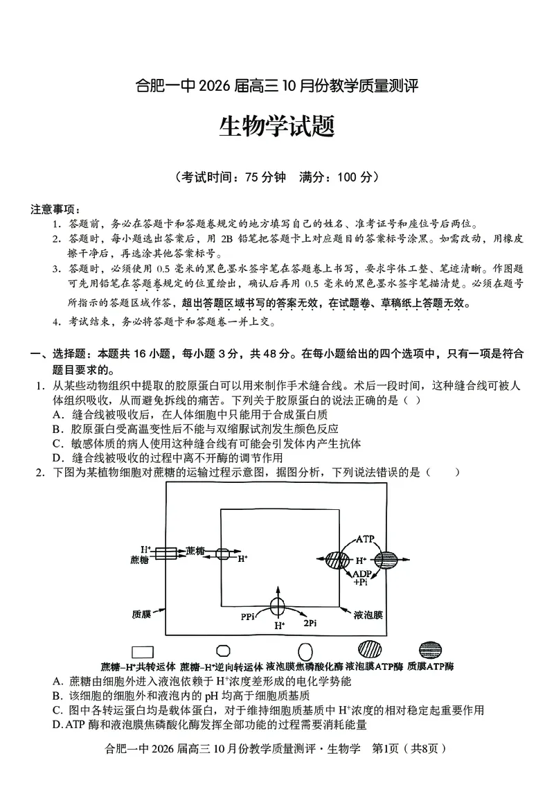 高三10月份教学质量测评生物卷_2025年10月_251028超清原版：安徽省合肥一中2026届高三10月份教学质量测评（全科）