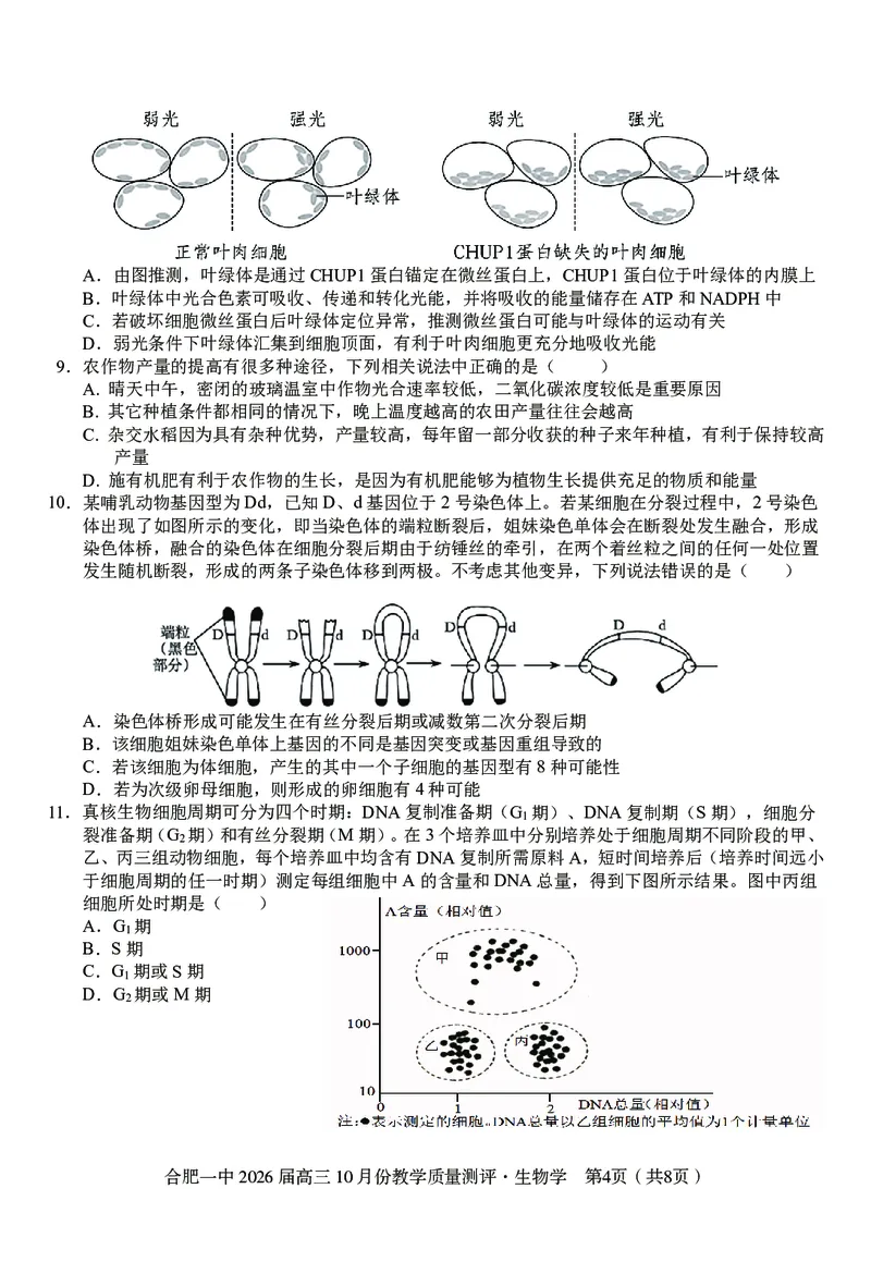 高三10月份教学质量测评生物卷_2025年10月_251028超清原版：安徽省合肥一中2026届高三10月份教学质量测评（全科）