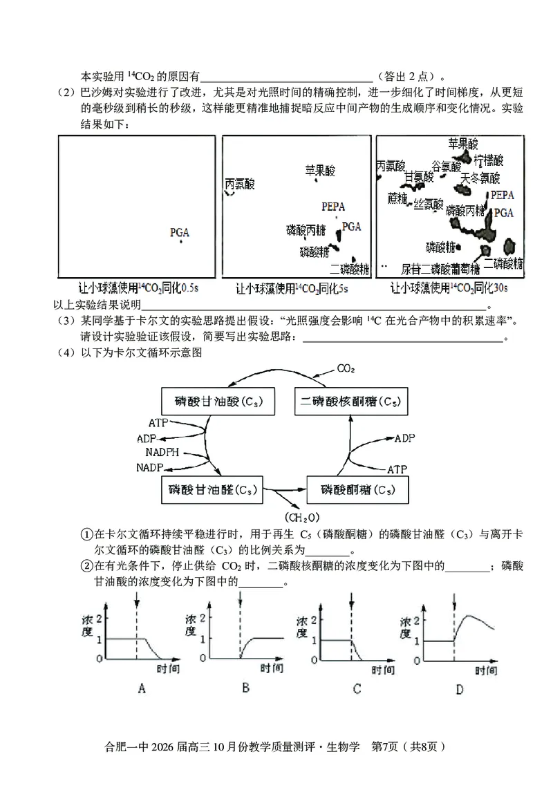 高三10月份教学质量测评生物卷_2025年10月_251028超清原版：安徽省合肥一中2026届高三10月份教学质量测评（全科）