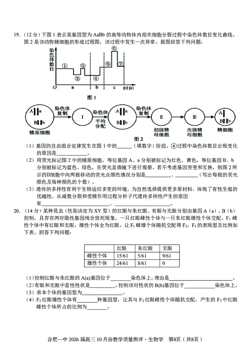 高三10月份教学质量测评生物卷_2025年10月_251028超清原版：安徽省合肥一中2026届高三10月份教学质量测评（全科）