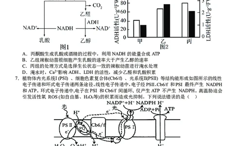 高三10月份教学质量测评生物卷_2025年10月_251028超清原版：安徽省合肥一中2026届高三10月份教学质量测评（全科）
