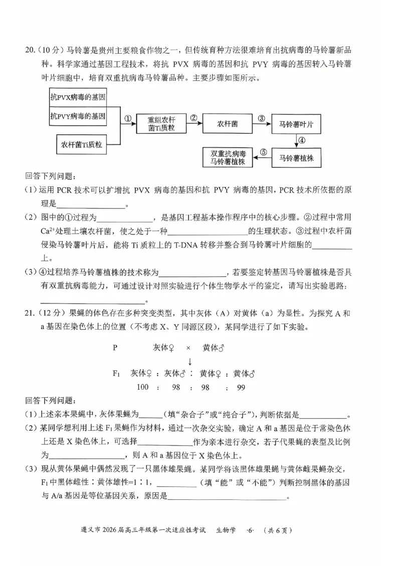 贵州省遵义市2025-2026学年高三上学期第一次适应性考试生物_2025年10月_12026年试卷教辅资源等多个文件_251025贵州省遵义市2025-2026学年高三上学期第一次适应性考试（全科）