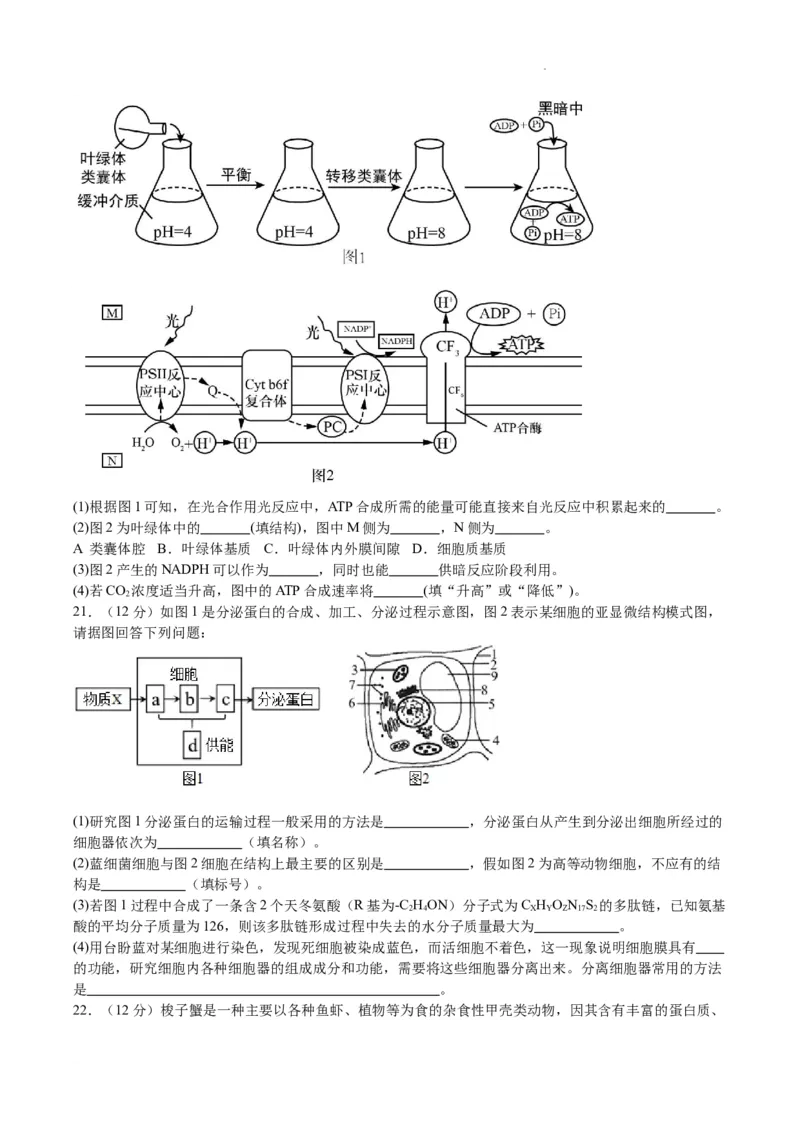 南京市高三2024届零模考前生物押题_2023年8月_01每日更新_22号_2024届江苏省南京市高三上学期零模考试考前押题_2024届江苏省南京市高三上学期零模考试考前押题生物
