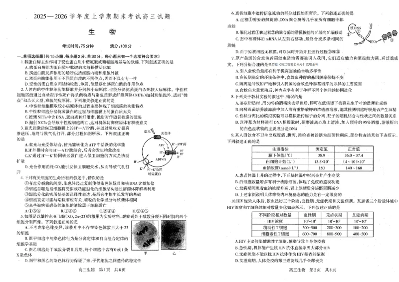 生物试题卷-辽宁省协作校2025-2026学年度上学期高三年级期末考试试题(1.19-1.20)(1)_2026年1月_260121辽宁省辽南协作校2025-2026学年度上学期高三年级期末考试试题（全科）