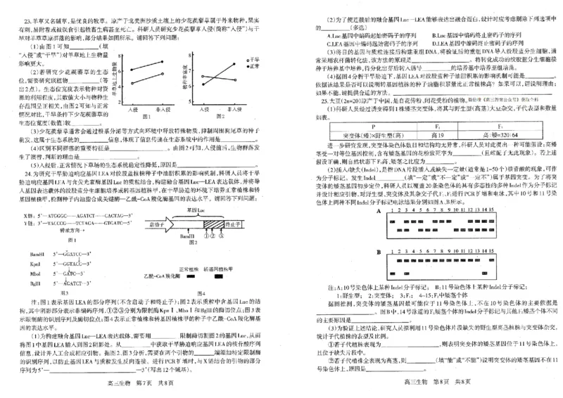 生物试题卷-辽宁省协作校2025-2026学年度上学期高三年级期末考试试题(1.19-1.20)(1)_2026年1月_260121辽宁省辽南协作校2025-2026学年度上学期高三年级期末考试试题（全科）