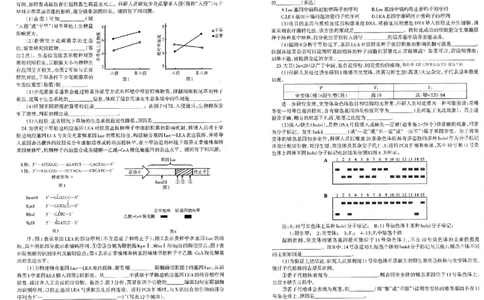 生物试题卷-辽宁省协作校2025-2026学年度上学期高三年级期末考试试题(1.19-1.20)(1)_2026年1月_260121辽宁省辽南协作校2025-2026学年度上学期高三年级期末考试试题（全科）
