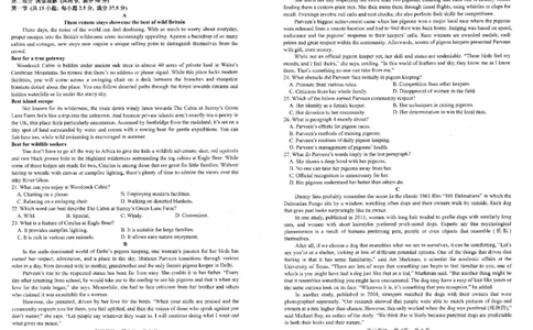 英语试题卷-辽宁省协作校2025-2026学年度上学期高三年级期末考试试题(1.19-1.20)(1)_2026年1月_260121辽宁省辽南协作校2025-2026学年度上学期高三年级期末考试试题（全科）