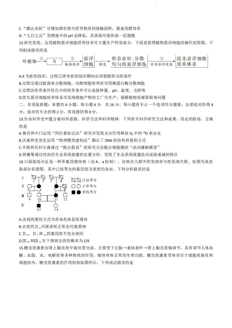 2024届广西北海市高三第一次模拟考试生物试题(1)_2023年10月_0210月合集_2024届广西北海市高三第一次模拟考试_2024届广西北海市高三第一次模拟考试生物