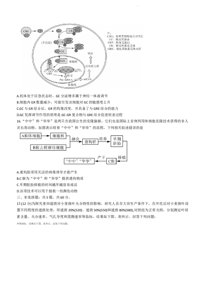 2024届广西北海市高三第一次模拟考试生物试题(1)_2023年10月_0210月合集_2024届广西北海市高三第一次模拟考试_2024届广西北海市高三第一次模拟考试生物