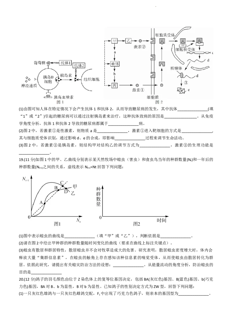 2024届广西北海市高三第一次模拟考试生物试题(1)_2023年10月_0210月合集_2024届广西北海市高三第一次模拟考试_2024届广西北海市高三第一次模拟考试生物