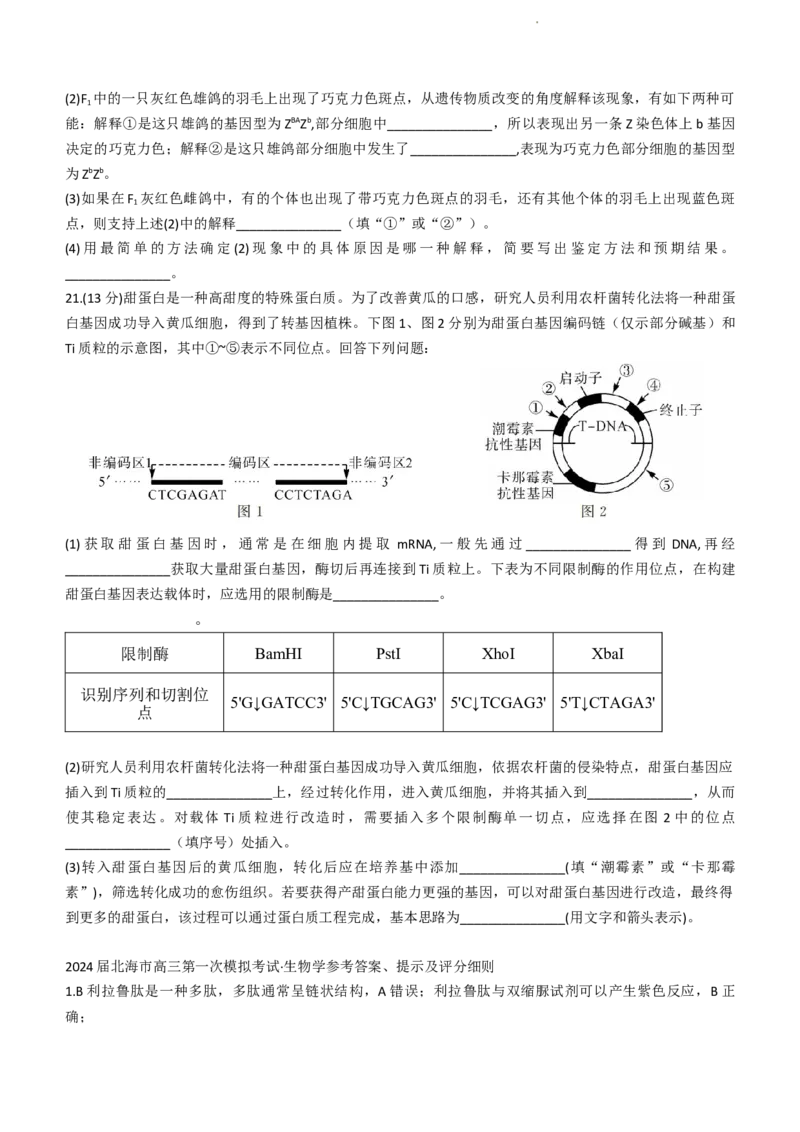 2024届广西北海市高三第一次模拟考试生物试题(1)_2023年10月_0210月合集_2024届广西北海市高三第一次模拟考试_2024届广西北海市高三第一次模拟考试生物