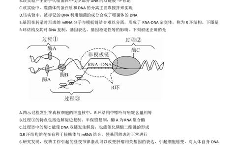 2024届广西北海市高三第一次模拟考试生物试题(1)_2023年10月_0210月合集_2024届广西北海市高三第一次模拟考试_2024届广西北海市高三第一次模拟考试生物