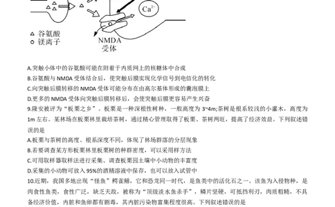 2024届广西北海市高三第一次模拟考试生物试题(1)_2023年10月_0210月合集_2024届广西北海市高三第一次模拟考试_2024届广西北海市高三第一次模拟考试生物