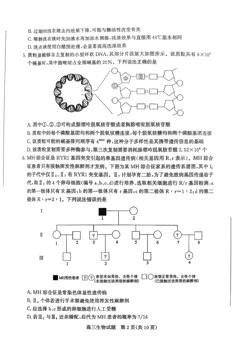 山东省滨州市2025-2026学年高三上学期末生物试题(1)_2026年1月_260121山东省滨州市2026届高三上学期期末考试