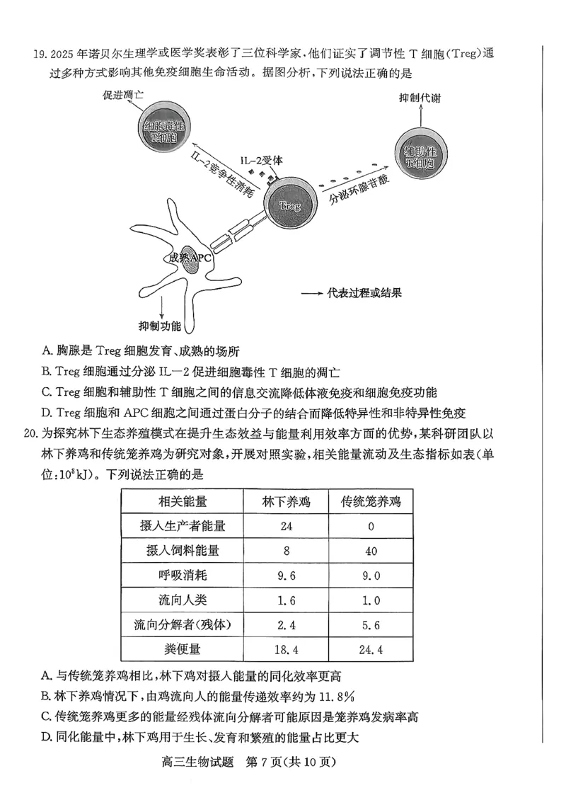 山东省滨州市2025-2026学年高三上学期末生物试题(1)_2026年1月_260121山东省滨州市2026届高三上学期期末考试