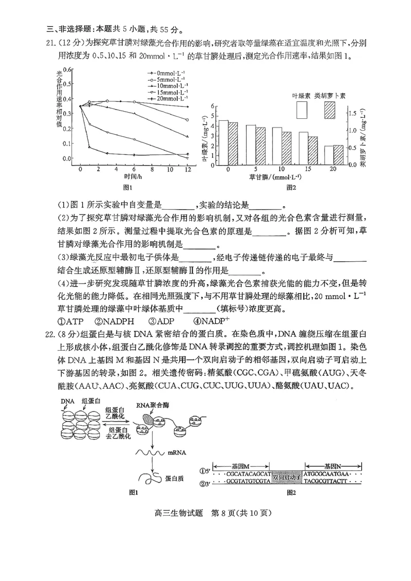 山东省滨州市2025-2026学年高三上学期末生物试题(1)_2026年1月_260121山东省滨州市2026届高三上学期期末考试