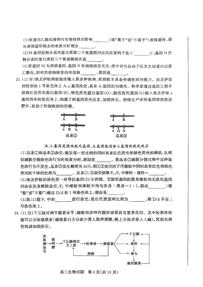 山东省滨州市2025-2026学年高三上学期末生物试题(1)_2026年1月_260121山东省滨州市2026届高三上学期期末考试