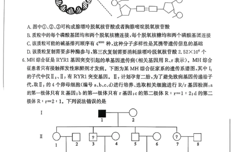 山东省滨州市2025-2026学年高三上学期末生物试题(1)_2026年1月_260121山东省滨州市2026届高三上学期期末考试