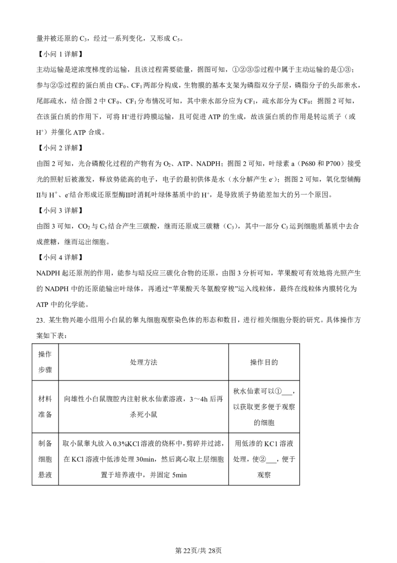 山东省实验中学2023-2024学年高三上学期第一次诊断考试生物答案(1)_2023年10月_0210月合集_2024届山东省实验中学高三上学期第一次诊断考试