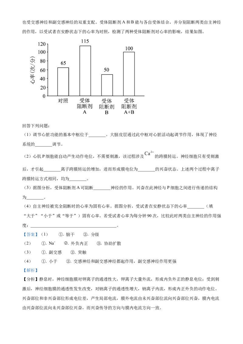 2024年新课标高考真题河北生物试卷（解析版）_高考真题全网收集_生物学_2024年新高考河北卷生物高考真题解析（参考版）